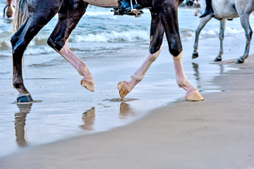 Valencia, Spain: 08.12.2019; The  horse walk on the beach