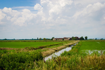 Obraz premium Camminando lungo la Via Francigena nella zona di Vercelli fra risaie, campi e canali