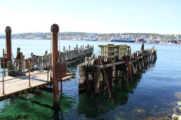 bird birds cormorants tromso tromsø  water travel tourism sea coast nature port blue landscape sky harbor architecture europe boatship mountain summer bay view city beautifull and mark mediterranean v