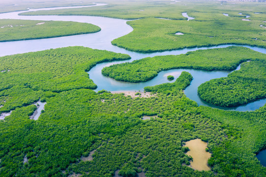 Aerial view of Amazon rainforest in Brazil, South America. Green forest. Bird's-eye view.