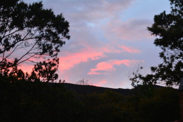 landscape Bahia Brazil