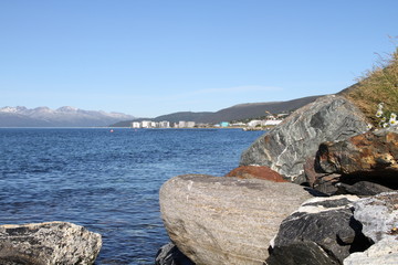 bird birds cormorants tromso tromsø  water travel tourism sea coast nature port blue landscape sky harbor architecture europe boatship mountain summer bay view city beautifull and mark mediterranean v