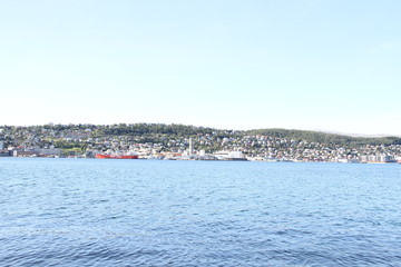 bird birds cormorants tromso tromsø  water travel tourism sea coast nature port blue landscape sky harbor architecture europe boatship mountain summer bay view city beautifull and mark mediterranean v