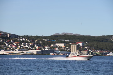 bird birds cormorants tromso tromsø  water travel tourism sea coast nature port blue landscape sky harbor architecture europe boatship mountain summer bay view city beautifull and mark mediterranean v