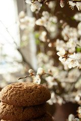 Place for text, cookies, food, oatmeal cookies, table