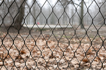 autumn park view through the cage