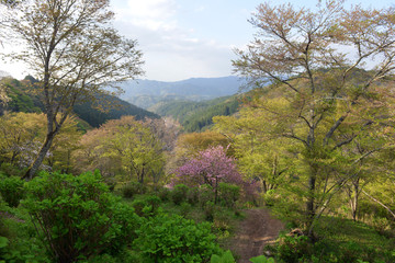 Mont Yoshino
