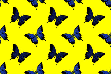 seamless pattern of blue butterflies drawn in watercolor on a yellow background