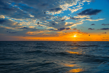 Bright blue and pink sunrise sky in the sea beach