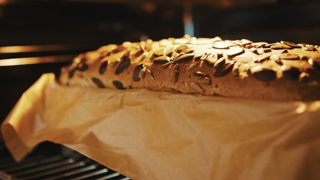 Close up of homemade bread with pampkin seeds baking in the owen. Slow motion shot with selective focus