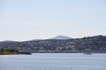 bird birds cormorants tromso tromsø  water travel tourism sea coast nature port blue landscape sky harbor architecture europe boatship mountain summer bay view city beautifull and mark mediterranean v