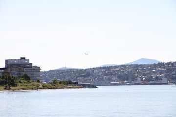 bird birds cormorants tromso tromsø  water travel tourism sea coast nature port blue landscape sky harbor architecture europe boatship mountain summer bay view city beautifull and mark mediterranean v