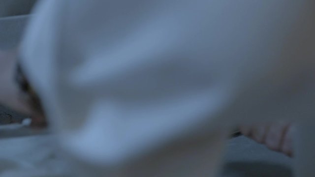 chef cocinando esparragos 