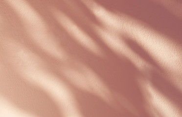 Abstract leaves shadow background