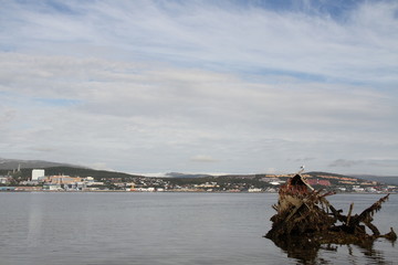 bird birds cormorants tromso troms&oslash;  water travel tourism sea coast nature port blue landscape sky harbor architecture europe boatship mountain summer bay view city beautifull and mark mediterranean 