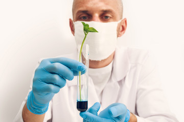 Doctor or laboratory technician holding test tube with green seedling or sprout in bioengineering laboratory, a symbol of biotechnology and new life