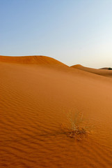 Desert de Dubai