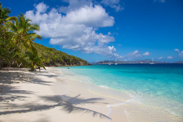 Fototapeta na wymiar Solomon Beach in Virgin Islands National Park on the Caribbean Island of St John in the US Virgin Islands