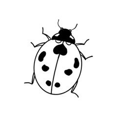 Outlined illustration hand-drawn ladybug isolated on white background for children learning and colouring. Vector graphic.