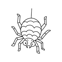 Outlined illustration hand-drawn spider isolated on white background for children learning and colouring. Vector graphic.