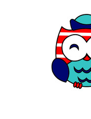 Captain Owl 