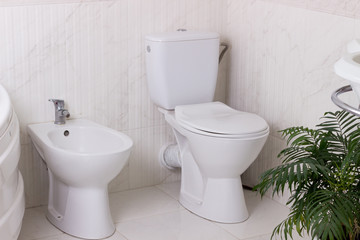 toilet bowl and bidet in the bathroom - obrazy, fototapety, plakaty