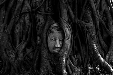 Magical head of sandstone buddha in trunk or roots tree at "Wat Mahathat" (Ayutthaya Province - Thailand) - vintage or black & white concept.
