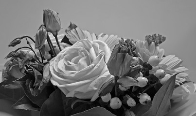 Delicate black and white rose with gerbera flower in the bouquet