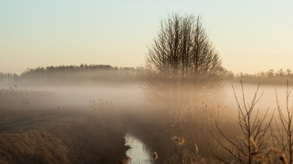 Wschód słońca nad strumieniem © Mateusz Czarniecki