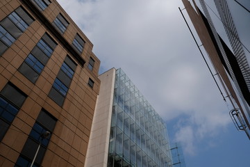 Obraz premium Urban architecture. Modern office building with glass facade.