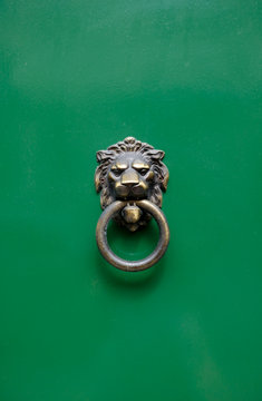 Metal antique door knocker line head on green wooden door