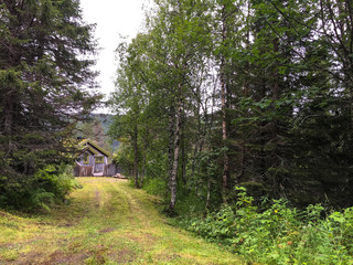 Domek w Norweskim lesie © Mateusz Czarniecki