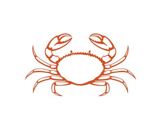 Crab logo. Isolated crab on white background