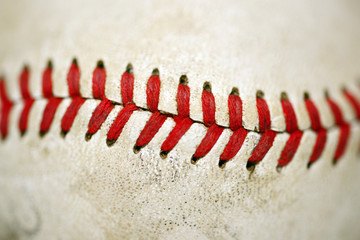 Baseball macro detail