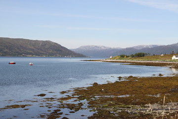 tromso tromsø  water travel tourism sea coast nature port blue landscape sky harbor architecture europe boatship mountain summer bay view city beautifull and mark mediterranean vacation town