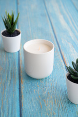 aromatic candles and plants succulents. blue back
