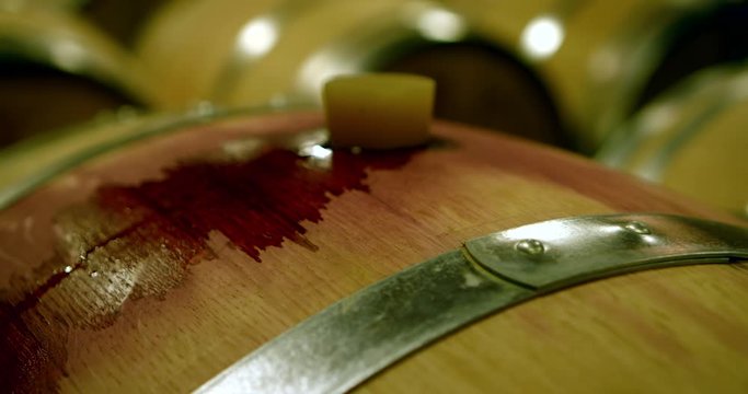 Wine factory, close-up of a lot of barrels with corks and a little leaked wine.