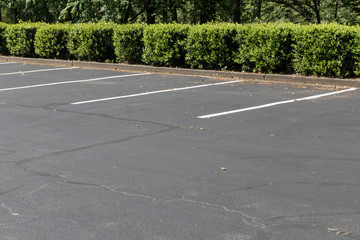 Empty lined asphalt parking lot bordered by bushes and trees, horizontal aspect