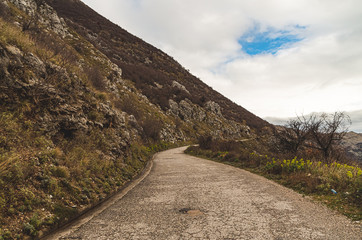 Road in the Mountains