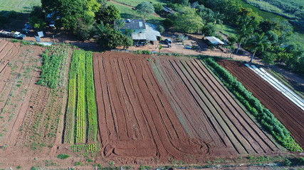 Agricultura Plantação Minas Gerais  