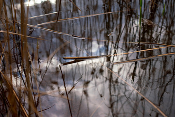 Reflet des nuages dans l'eau
