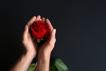 Beautiful red rose in a male hands on a dark background