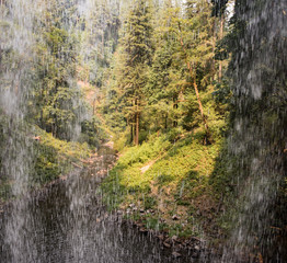 Waterfall view, Oregon