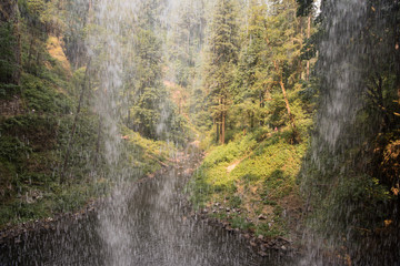 Waterfall, Oregon, USA
