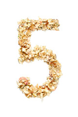 Number 5 made of pencil shavings