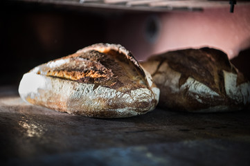 bread in the oven during cooking 
