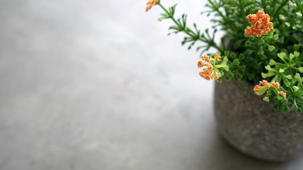 Green and yellow plastic flowers on the table surface with gray cement