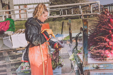 Female Farmer washing beetroot