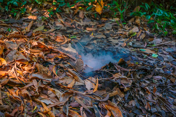 Cu Chi tunnel, historic famous place in Vietnam war, army dig underground dug out to living, now it's heritage destination for Viet Nam travel in Ho Chi Minh city