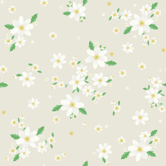 Seamless Valkovuokko floral pattern, Beautiful Wood anemone floral, bloomy plant grass decor, illustration - Vector